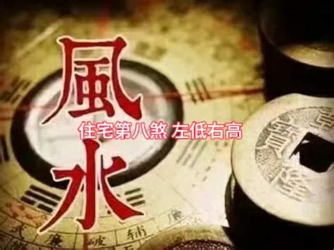 白虎處女|男與「白虎」嘿咻會帶衰？ 專家解惑 